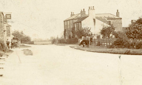 Pocklington History - The Wellington Oak