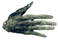 Whitby Museum Hand